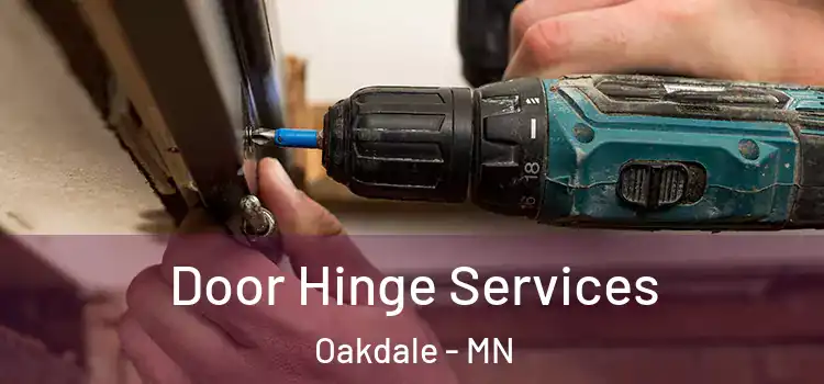 Door Hinge Services Oakdale - MN