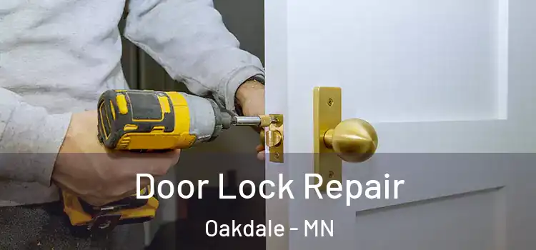 Door Lock Repair Oakdale - MN