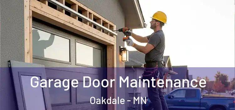 Garage Door Maintenance Oakdale - MN